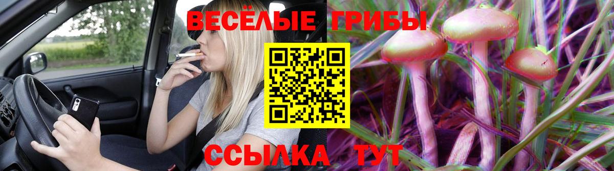 Псилоцибиновые грибы мицелий Лангепас